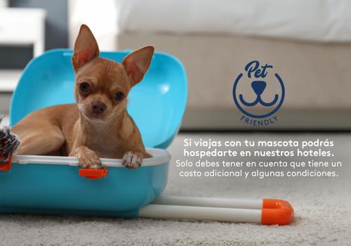 Admite mascotas Hotel ESTELAR La Torre Suites Medellín