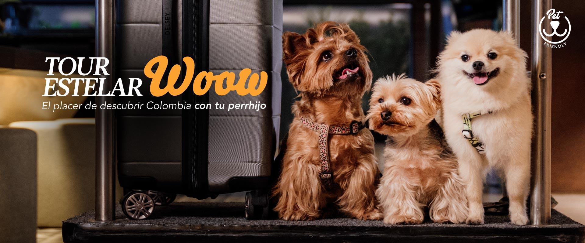 ESTELAR La Torre Suites Colombia - Medellín ESTELAR La Torre Suites Colombia - Medellín