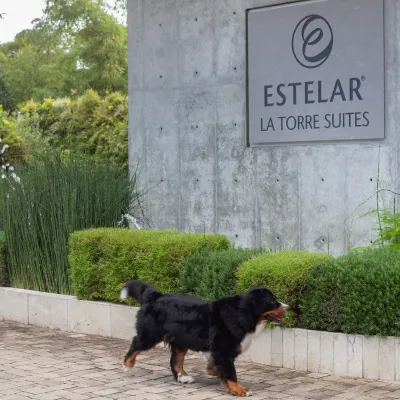 Hotel ESTELAR La Torre Suites Colombia - Medellín Hotel ESTELAR La Torre Suites Colombia - Medellín